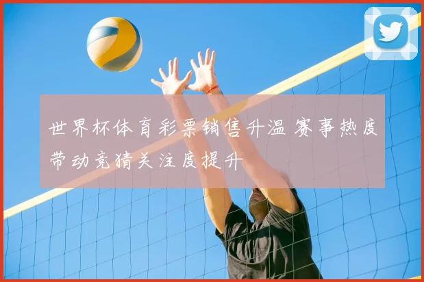 世界杯体育彩票销售升温 赛事热度带动竞猜关注度提升